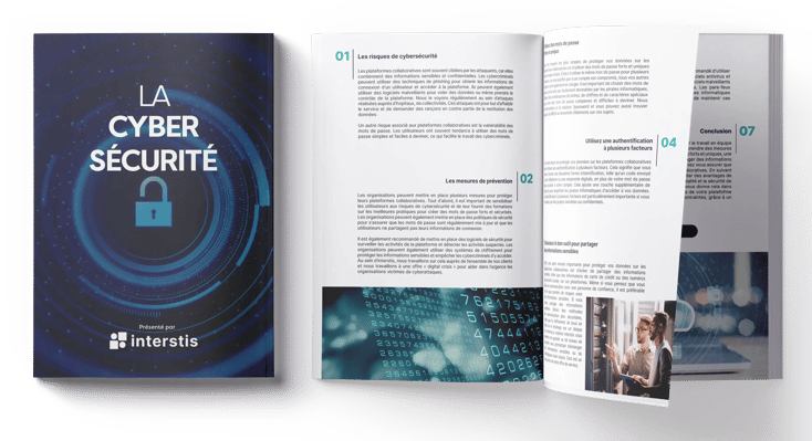 extrait des pages de notre ebook sur la cybersécurité